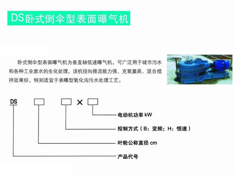 ds臥式倒傘型表面曝氣機